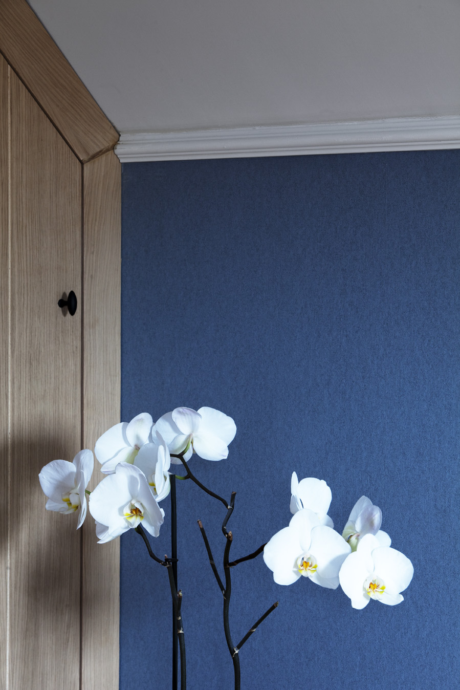 Flamant wandbekleding